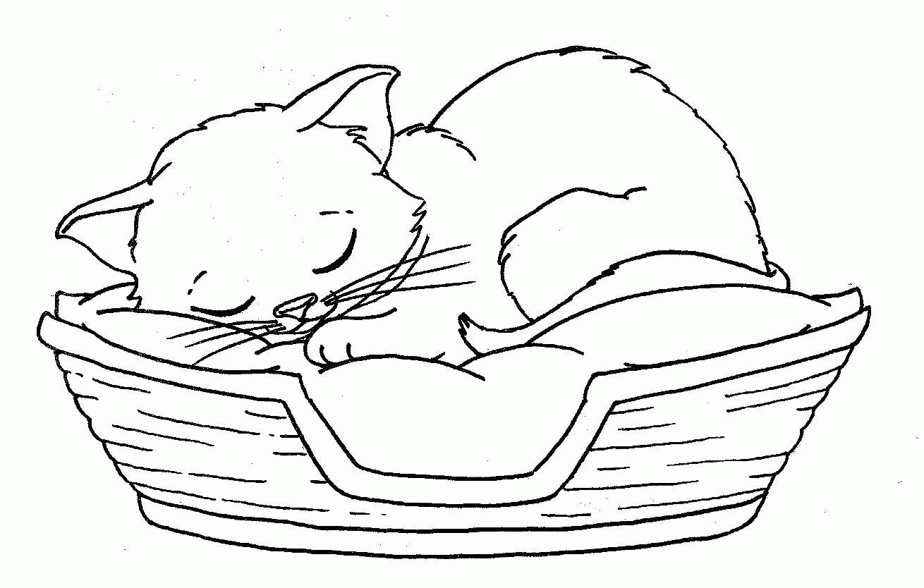 Название: Раскраска Кошка спит в корзинке. Категория: . Теги: .