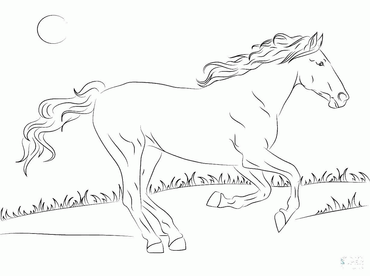 Название: Раскраска Вольная лошадь. Категория: . Теги: .