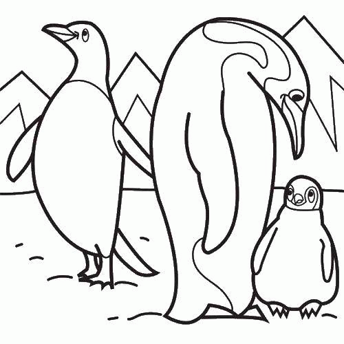 Название: Раскраска Семейство пингвинов. Категория: . Теги: .