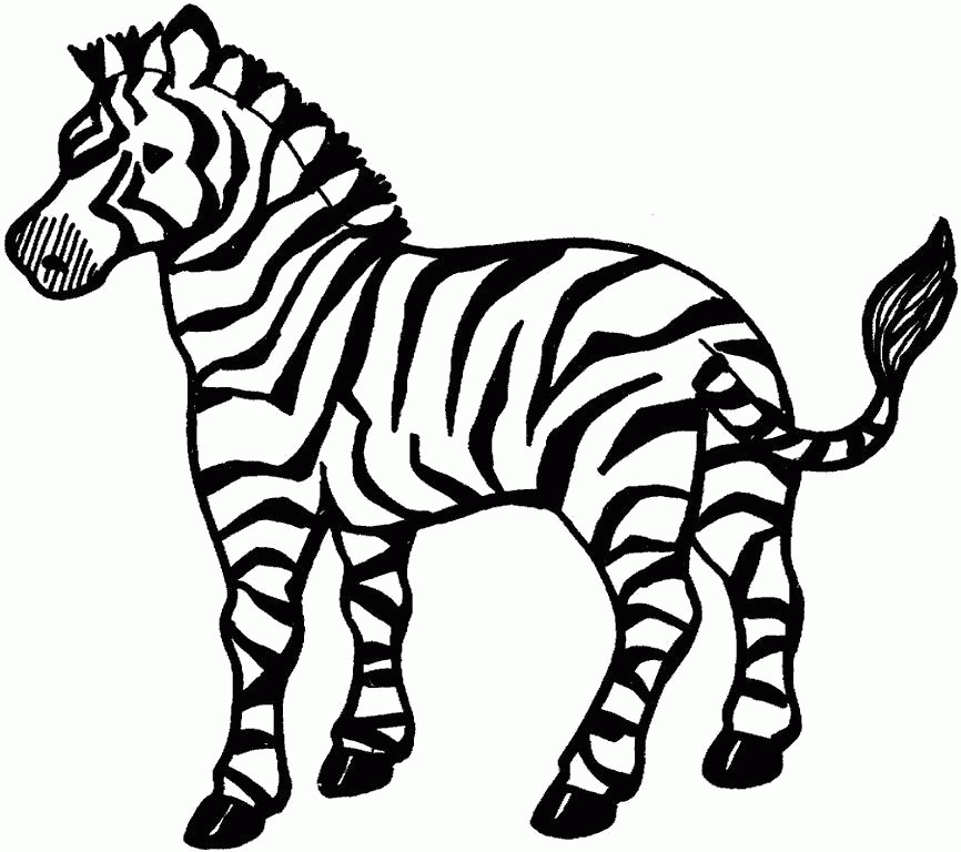 Название: Раскраска Раскраска  дикая  зебра, дикие животные. Скачать зебра.  Распечатать Дикие животные. Категория: . Теги: .