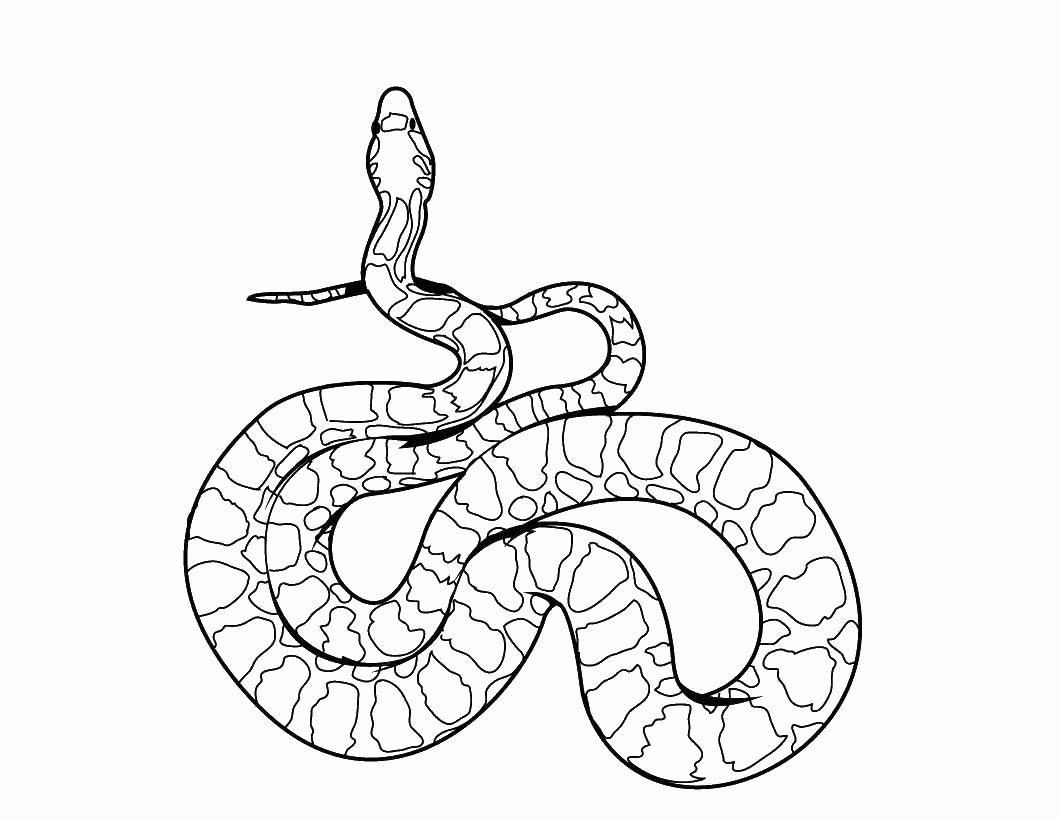 Название: Раскраска Длинная змея. Категория: . Теги: .