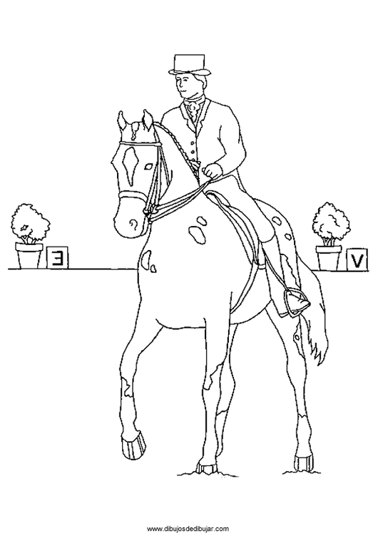 Название: Раскраска раскраска лошадь с наездником. Категория: . Теги: .