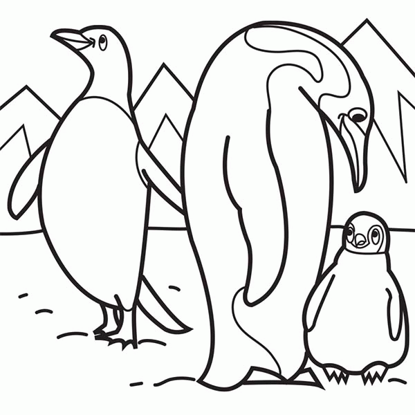 Название: Раскраска Пингвины. Категория: . Теги: .