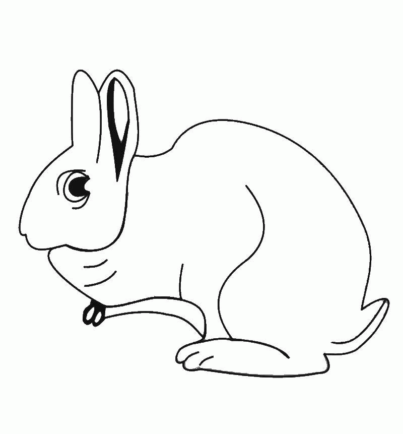 Название: Раскраска Название: Раскраска Кролик. Категория: милые животные. Теги: кролик.. Категория: . Теги: .