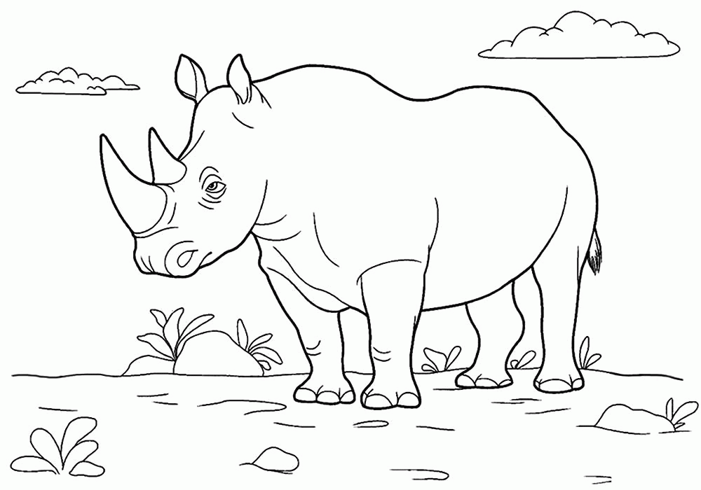 Название: Раскраска Раскраска  носорог для детей. Скачать Носорог.  Распечатать Дикие животные. Категория: . Теги: .