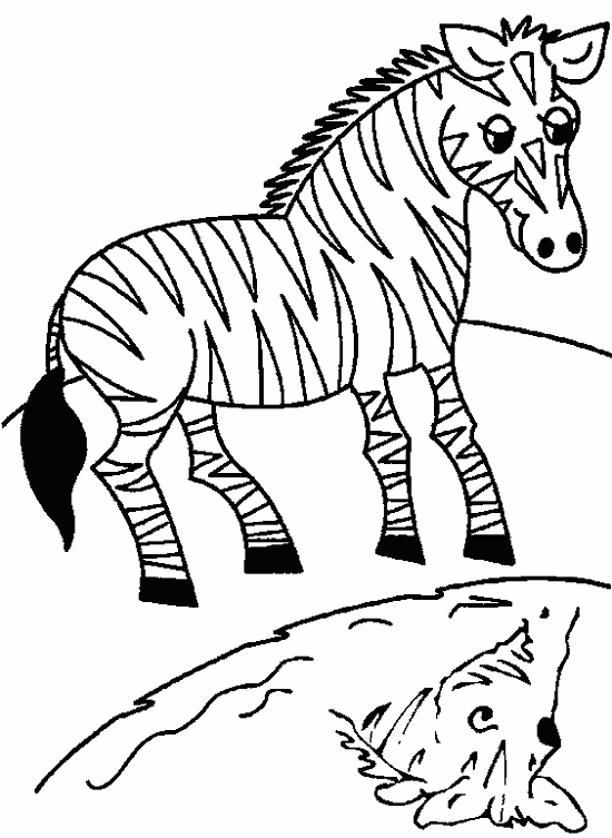Название: Раскраска зебра на водопое. Категория: . Теги: .