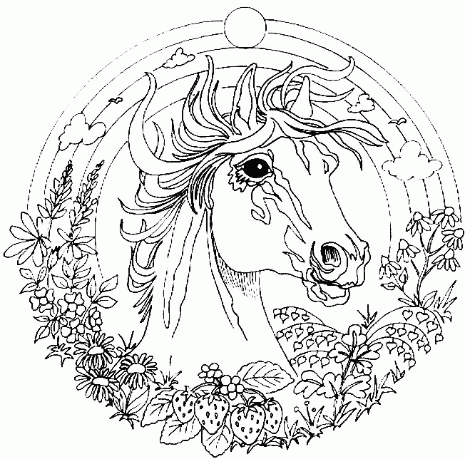 Название: Раскраска Лошадь в круге из радуге и цветов, земляники. Категория: . Теги: .