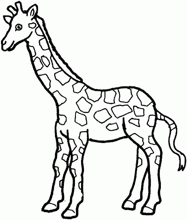 Название: Раскраска Раскраска Контур жирафа для вырезания Скачать ,жирафы, жираф, животные,.  Распечатать . Категория: . Теги: .