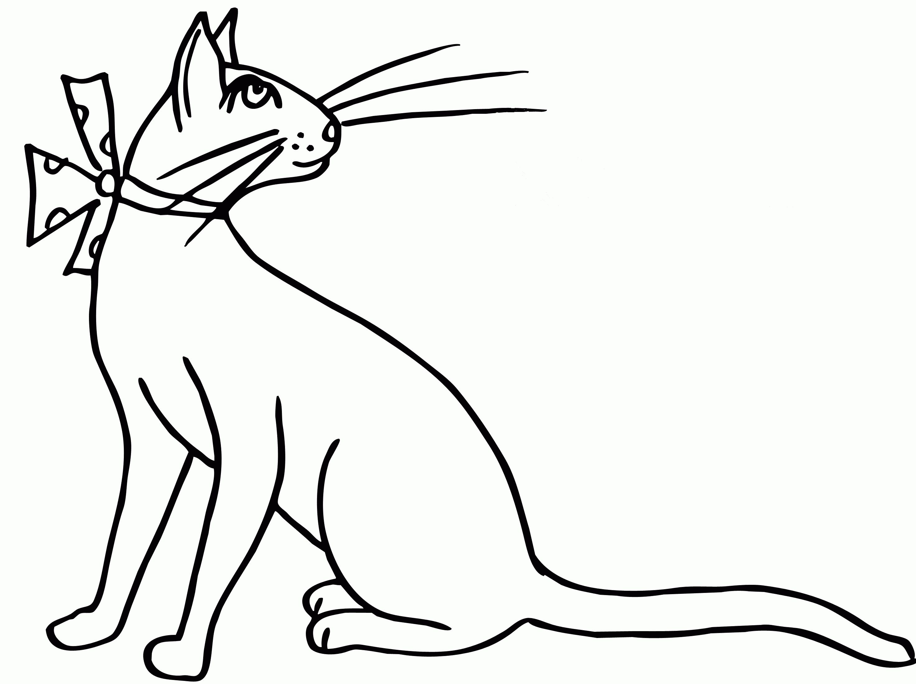 Название: Раскраска Эскиз кошка. Категория: . Теги: .