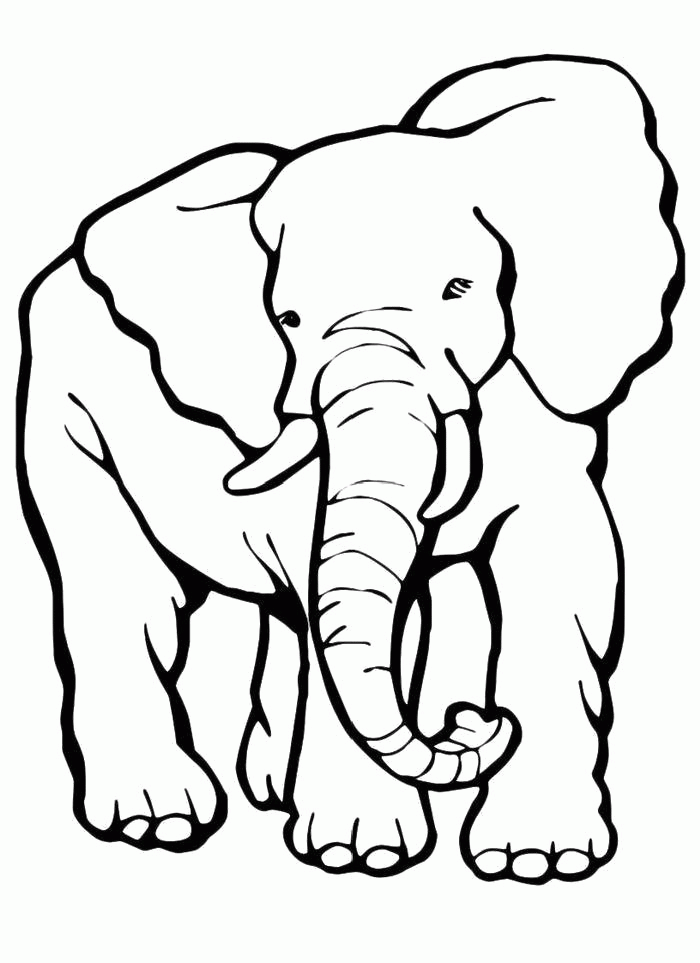 Название: Раскраска Раскраска  Слон с длинным хоботом. Скачать .  Распечатать . Категория: . Теги: .