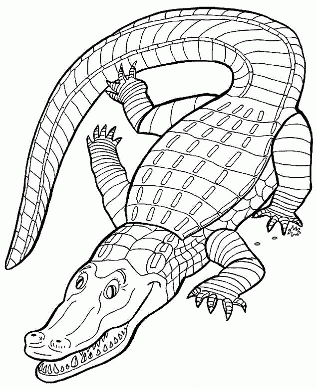 Название: Раскраска Раскраска Зеленый крокодил. Скачать крокодил.  Распечатать Дикие животные. Категория: . Теги: .