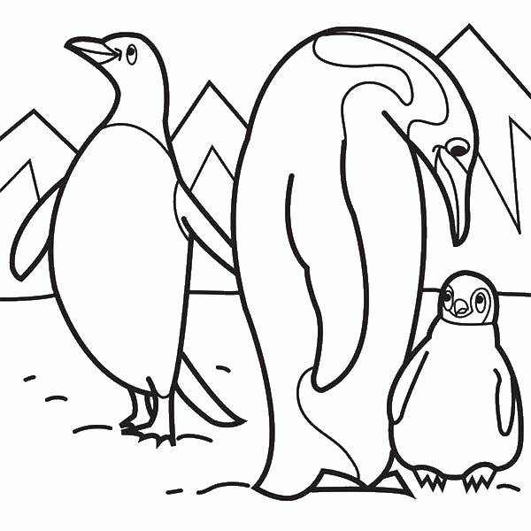 Название: Раскраска Пингвиний остров. Категория: . Теги: .