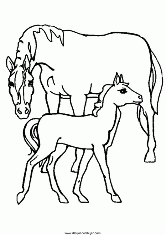 Название: Раскраска Раскраски лошади раскраска лошадь с жеребенком, раскраски для детей. Категория: . Теги: .