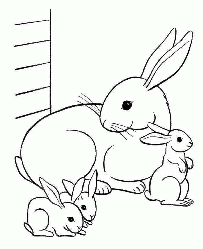 Название: Раскраска Кролик и крольчата. Категория: . Теги: .