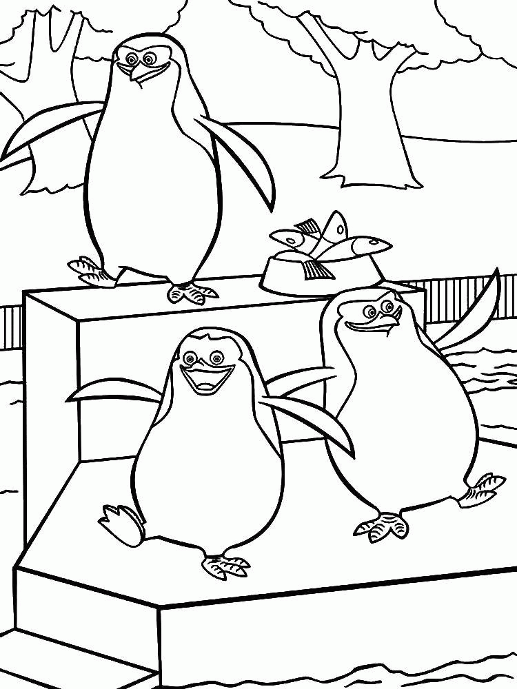 Название: Раскраска Пингвины мадагаскара. Категория: . Теги: .