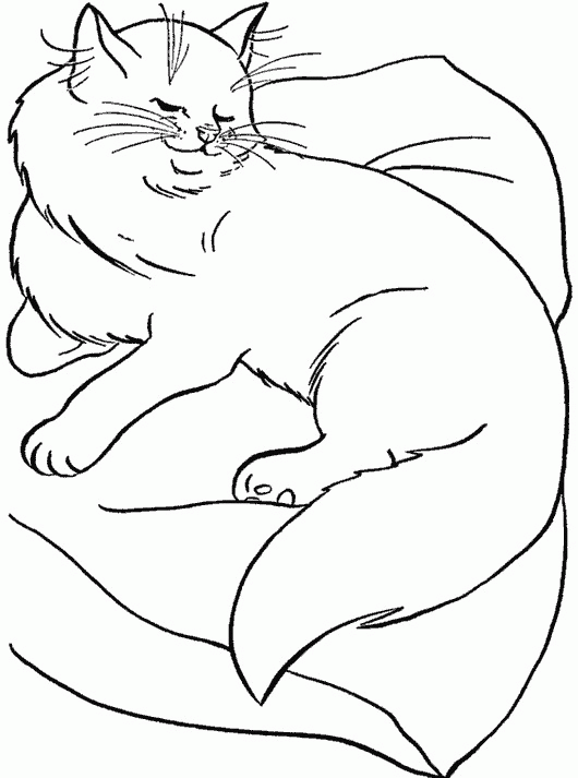 Название: Раскраска Шаблон кошка на подушке. Категория: . Теги: .