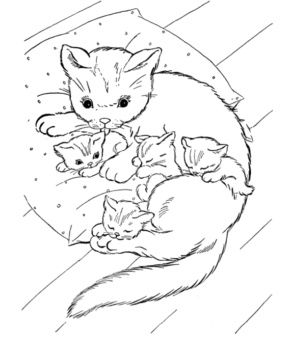 Название: Раскраска кошка с маленькими котятами. Категория: . Теги: .
