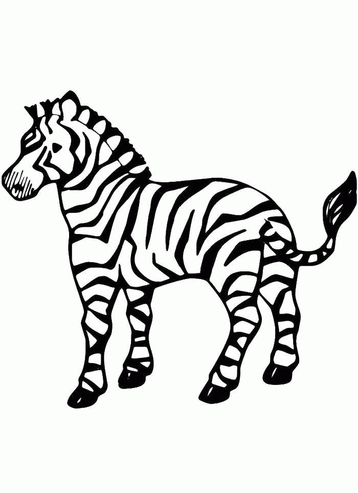 Название: Раскраска Полосатая зебра. Категория: . Теги: .