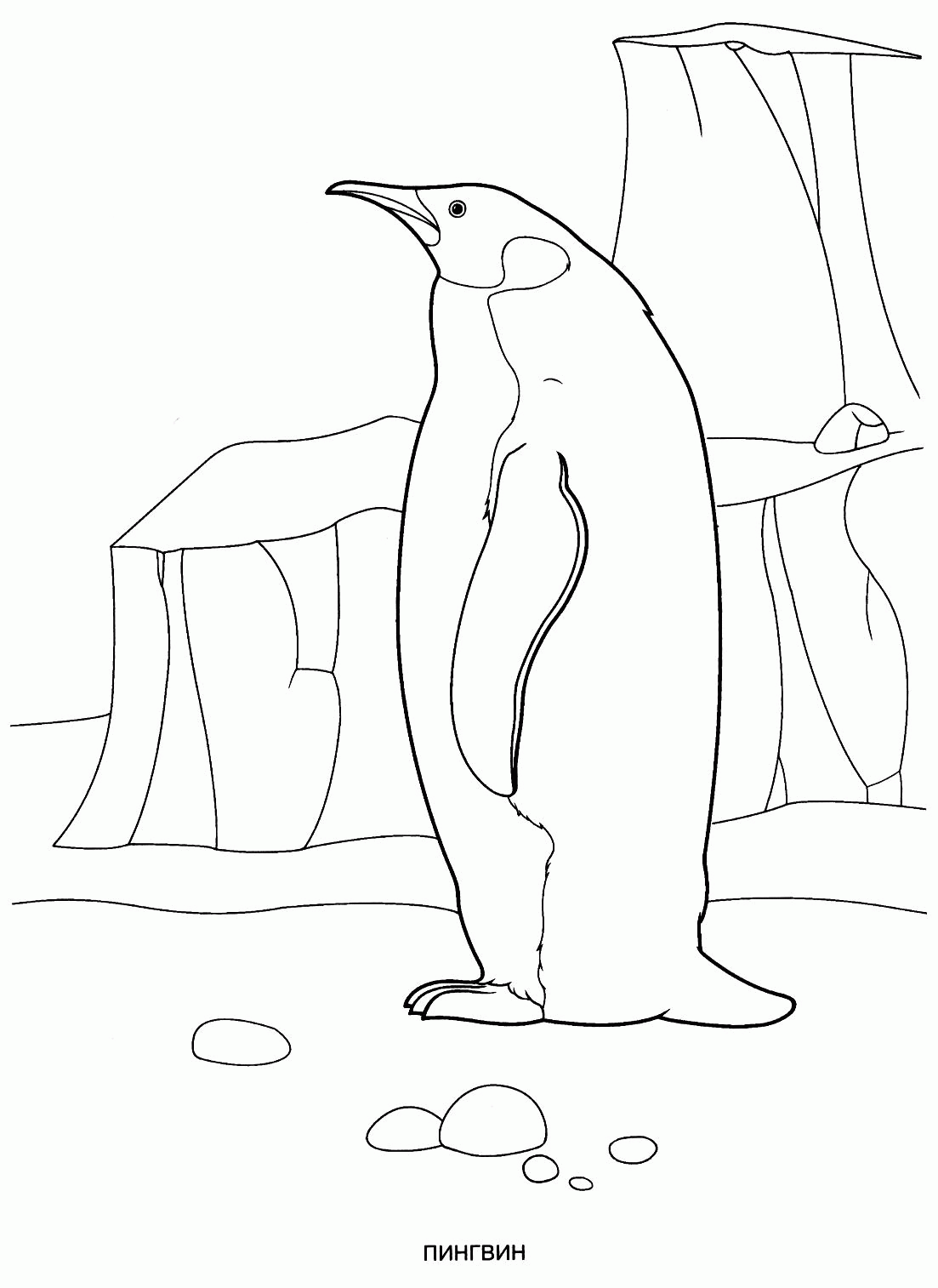 Название: Раскраска Раскраска пингвин. раскраска раскраска пингвина, королевский пингвин, разукраска детская, лед, арктика. Категория: . Теги: .
