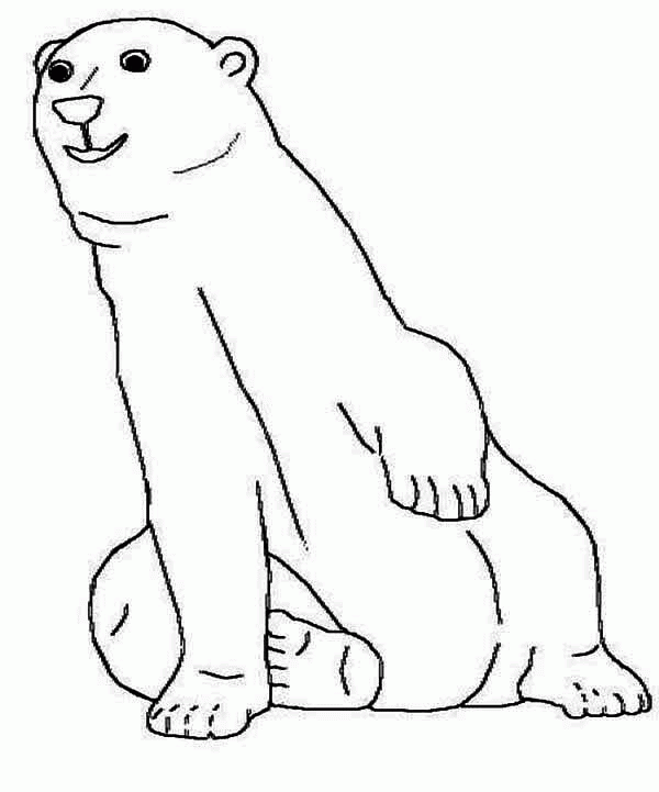 Название: Раскраска Сидит полярный медведь. Категория: . Теги: .