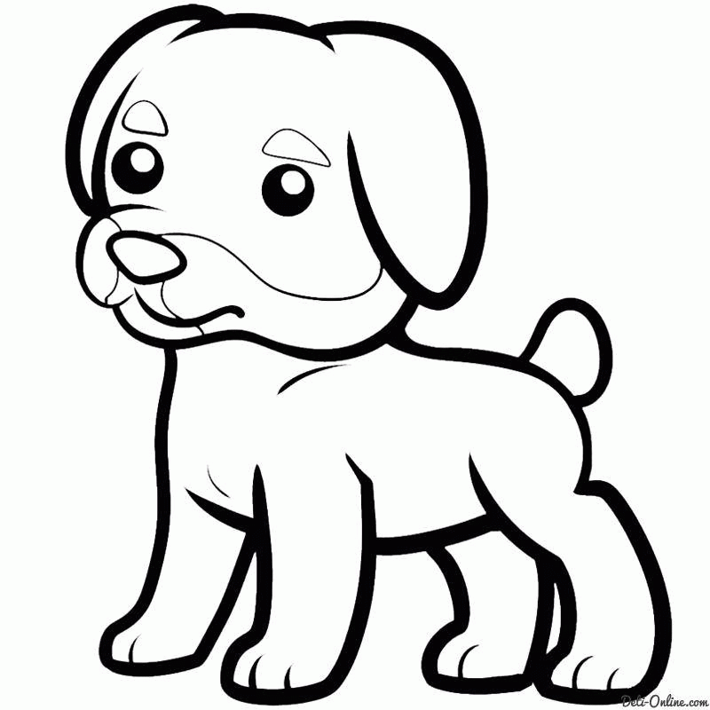 Название: Раскраска Рисунок собака. Категория: . Теги: .