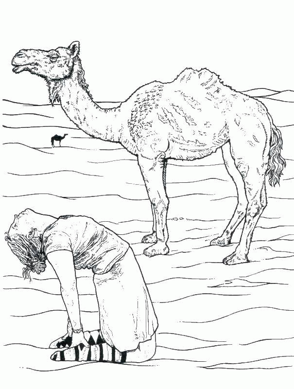 Название: Раскраска Верблюд в пустыне. Категория: . Теги: .