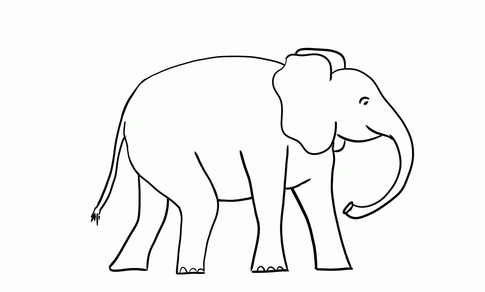 Название: Раскраска Название: Раскраска Слон с длинными ногами. Категория: Животные. Теги: животные, слон, слоненок.. Категория: . Теги: .