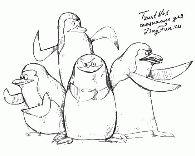 Название: Раскраска Рисунок пингвинов. Категория: . Теги: .