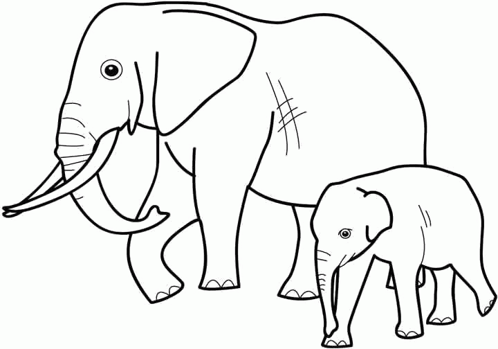Название: Раскраска Раскраска Слониха со слоненком. Скачать слон.  Распечатать Дикие животные. Категория: . Теги: .