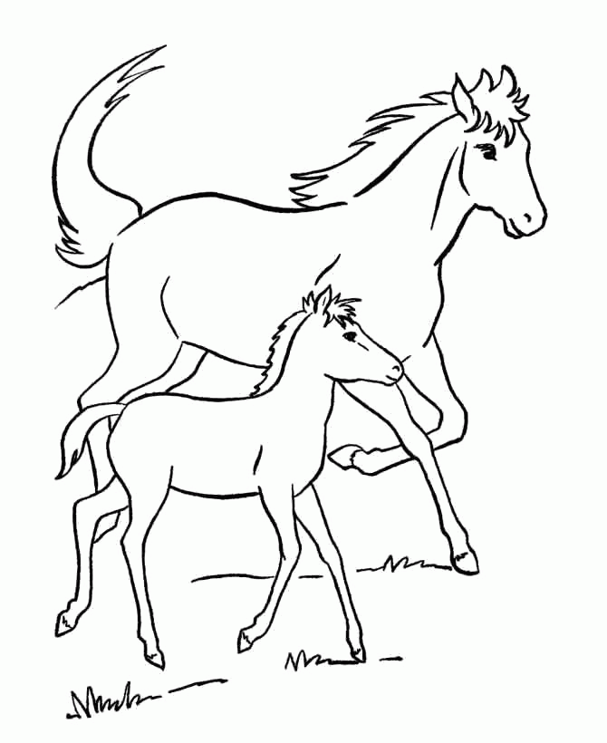 Название: Раскраска Раскраска лошадь и жеребенок . Скачать Лошадь.  Распечатать Домашние животные. Категория: . Теги: .