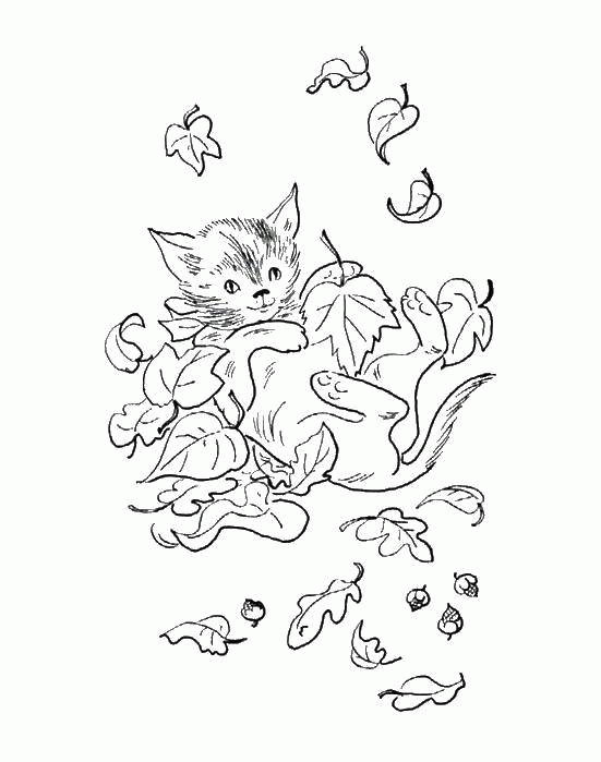 Название: Раскраска Кошка играет с листьями. Категория: . Теги: .