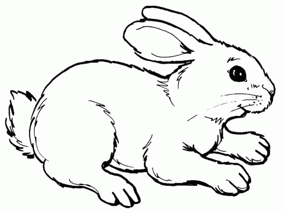 Название: Раскраска Название: Раскраска Кролик. Категория: кролик. Теги: кролик.. Категория: . Теги: .