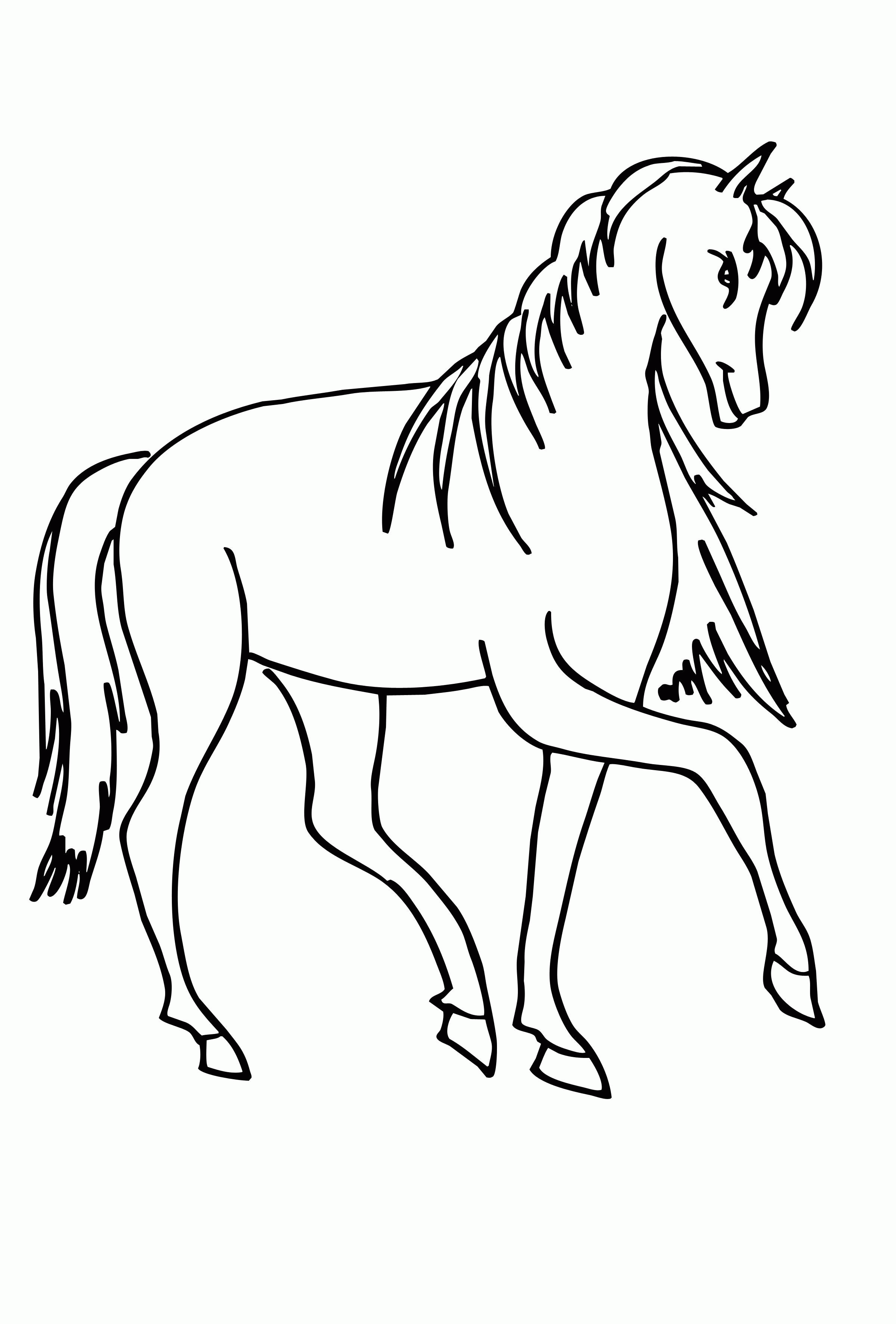 Название: Раскраска Раскраска лошадь красивая. Категория: . Теги: .