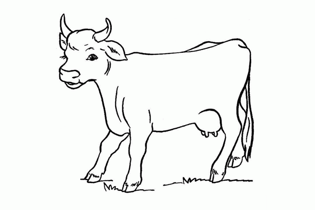 Название: Раскраска Название: Раскраска Корова. Категория: домашние животные. Теги: корова.. Категория: . Теги: .
