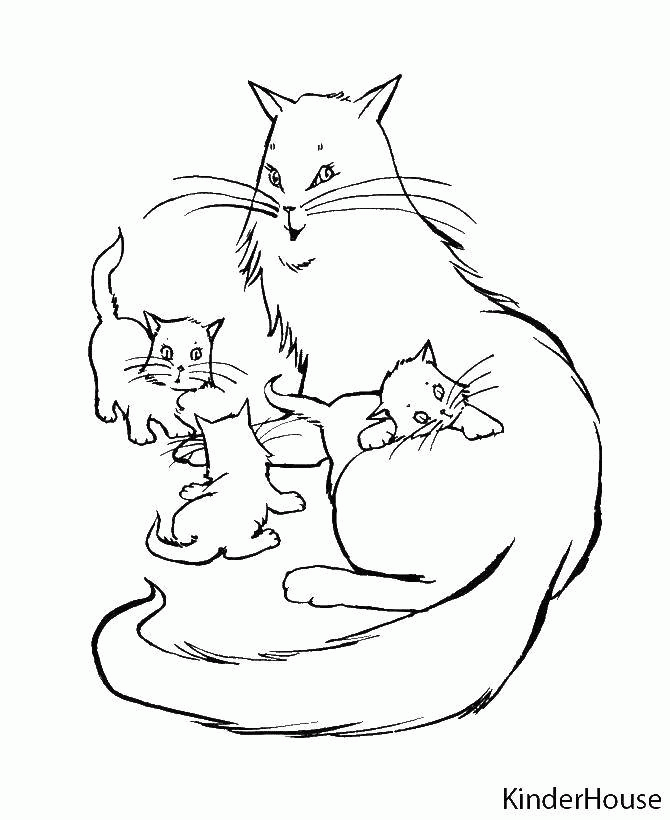 Название: Раскраска Котята и кошка. Категория: . Теги: .