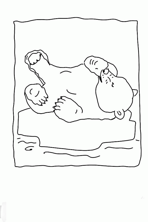 Название: Раскраска Полярный медведь сосет лапу. Категория: . Теги: .