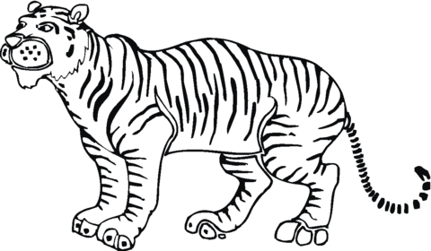 Название: Раскраска симпатичный тигр. Категория: . Теги: .
