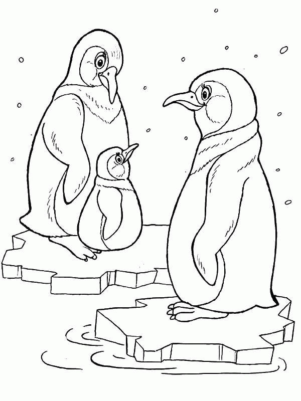 Название: Раскраска Название: Раскраска Пингвины на льду. Категория: Животные. Теги: пингвины, лед.. Категория: . Теги: .
