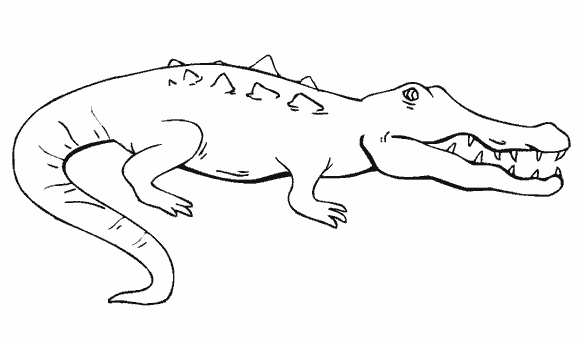 Рисунок пресмыкающихся 2 класс. Пресмыкающиеся раскраска. Крокодил раскраска для детей. Раскраска рептилии. Рисунки пресмыкающихся животных.