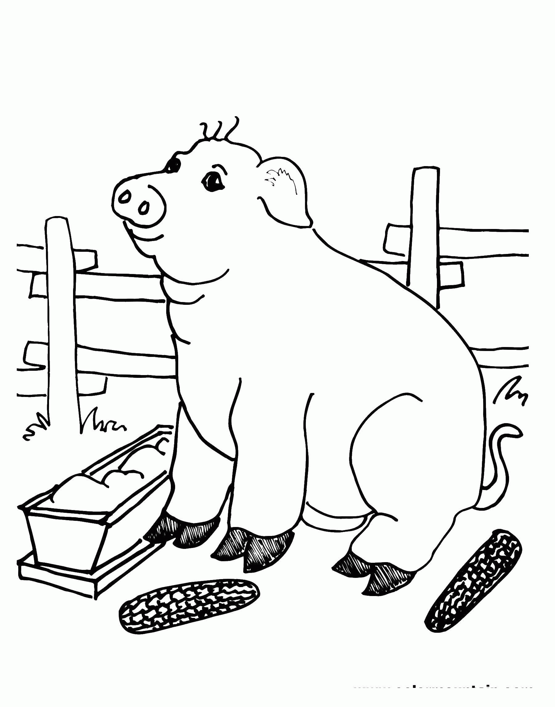 Название: Раскраска Свинья на ферме. Категория: . Теги: .