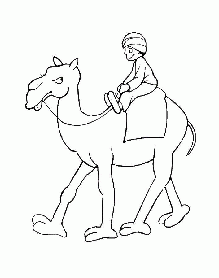 Название: Раскраска Мальчик на верблюде. Категория: . Теги: .