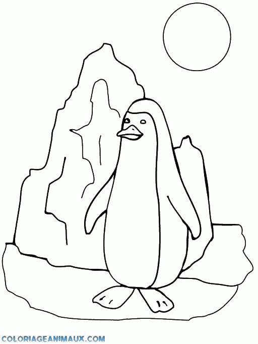 Название: Раскраска Пингвин в арктике. Категория: . Теги: .