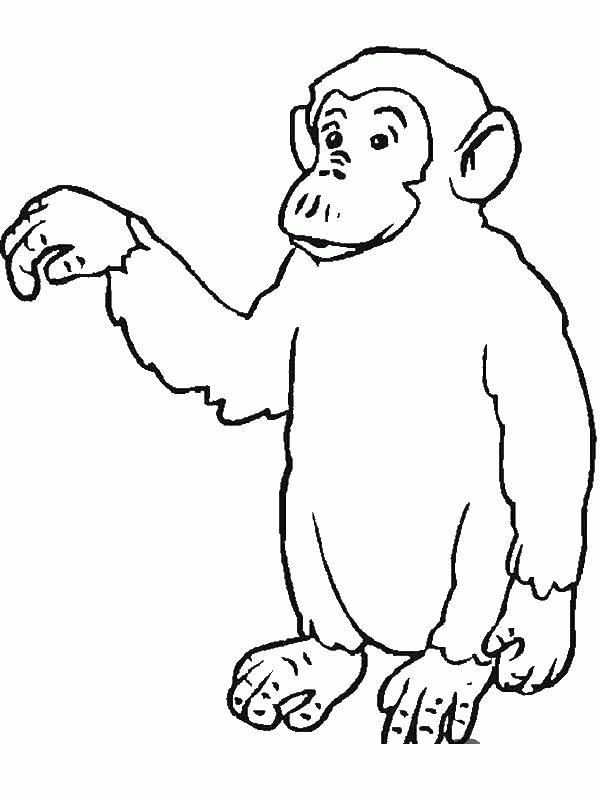 Название: Раскраска Большая обезьяна. Категория: . Теги: .