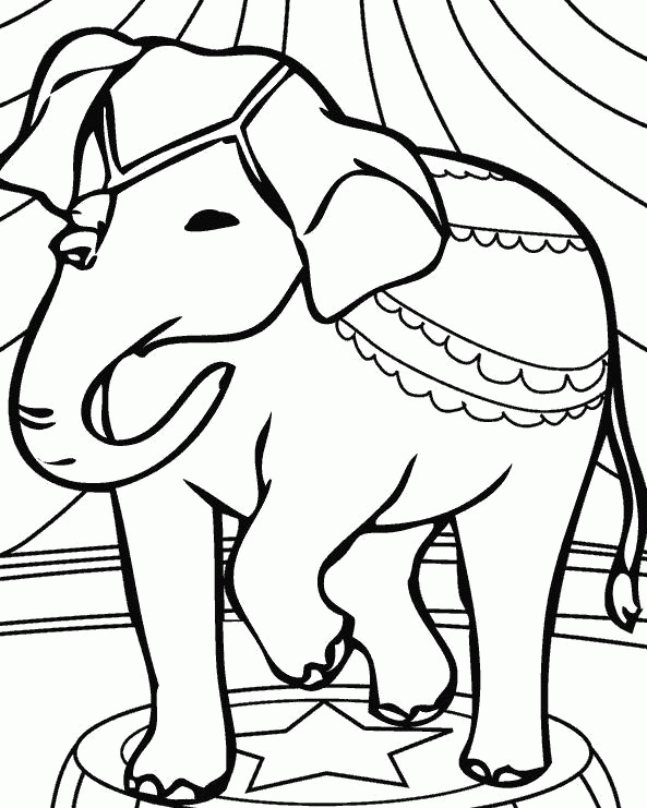 Название: Раскраска Раскраска Индийский цирковой слон. Скачать слон.  Распечатать Дикие животные. Категория: . Теги: .