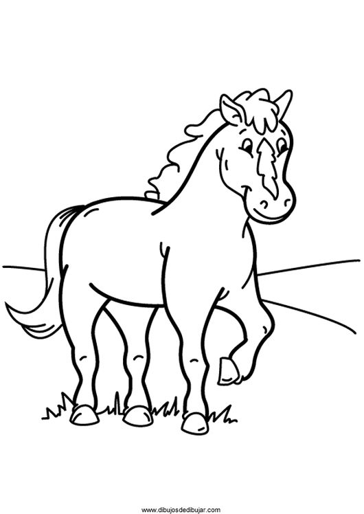 Название: Раскраска раскраска домашняя лошадь. Категория: . Теги: .