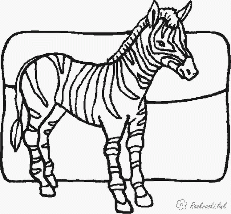 Название: Раскраска хорошая зебра . Категория: . Теги: .