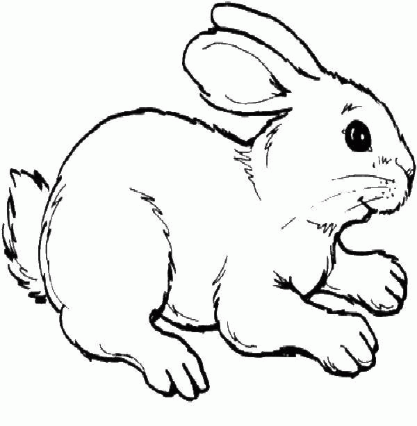 Название: Раскраска Название: Раскраска Кролик. Категория: кролик. Теги: кролик, заяц.. Категория: . Теги: .