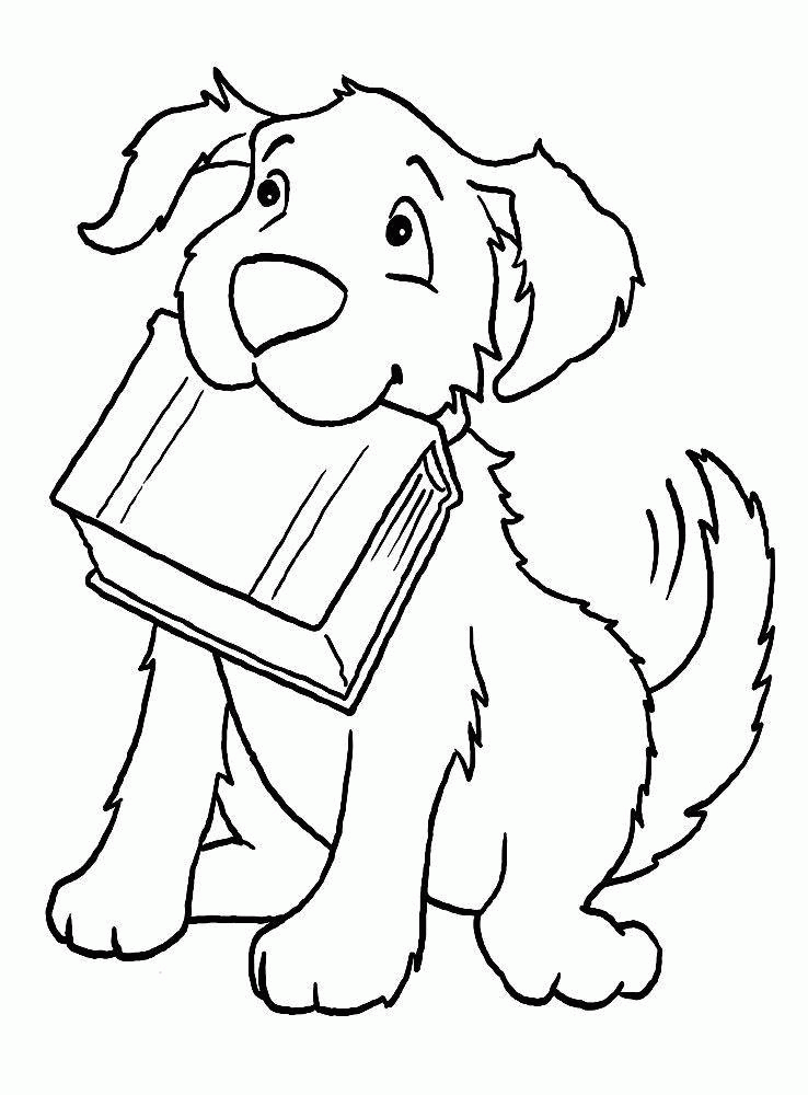 Название: Раскраска Рисунок собака принесла книгу. Категория: . Теги: .