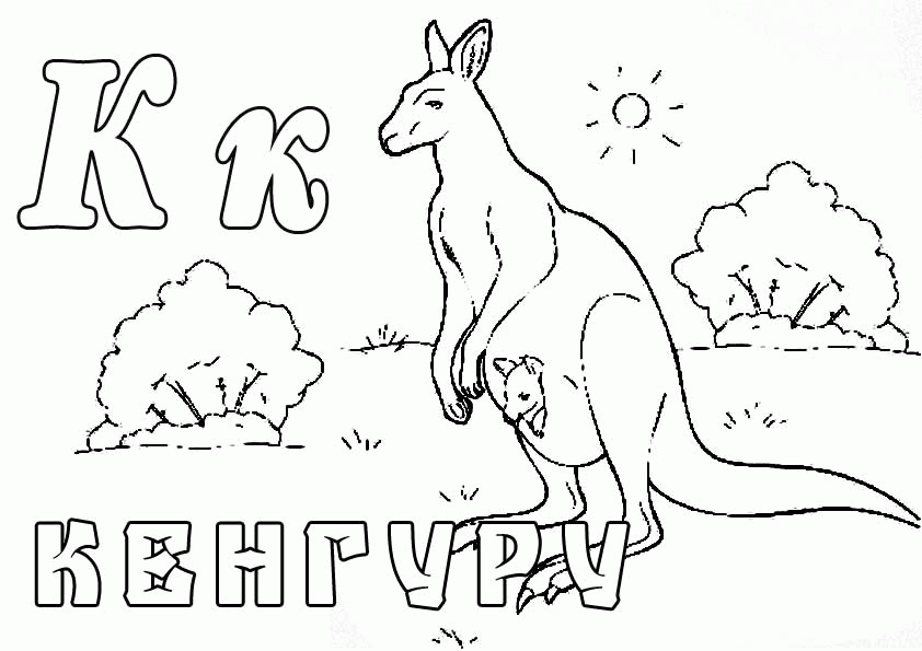 Название: Раскраска Раскраска кенгуру. Категория: . Теги: .
