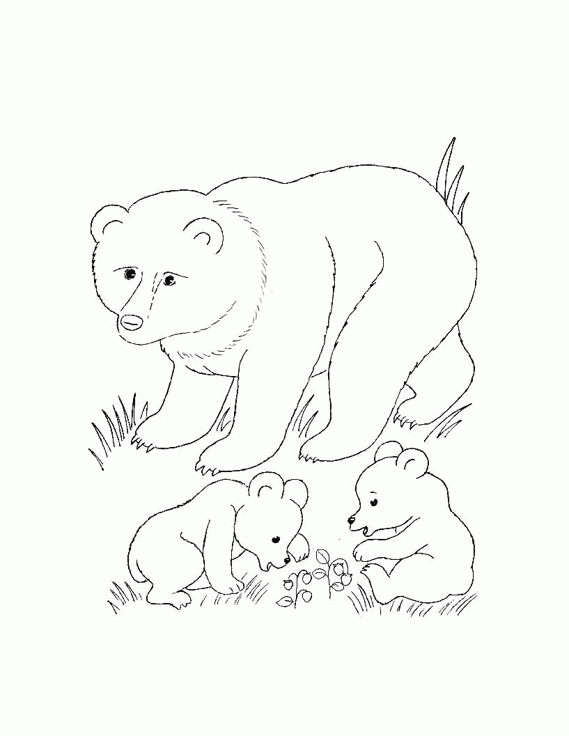 Название: Раскраска Раскраска  для самых маленьких - Дикие животные. Медведь с медвежатами. Скачать медведь.  Распечатать Дикие животные. Категория: . Теги: .